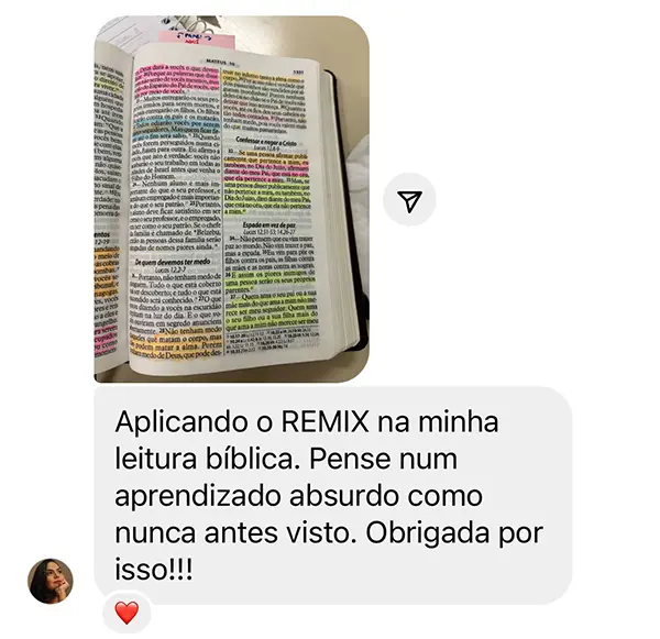 Depoimento Sistema RMX